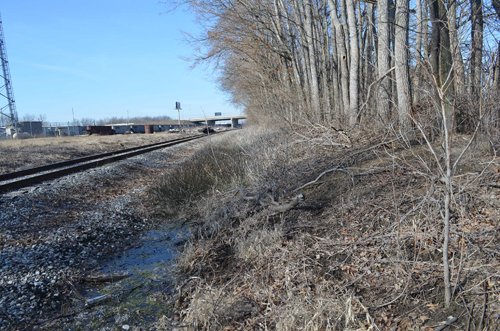 Property photo 14 - East Allen County - 55 Acre Land Auction